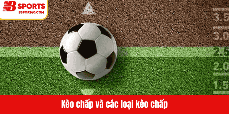ảnh đại diện kèo chấp và các loại kèo chấp