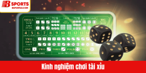 ảnh đại diện kinh nghiệm chơi tài xỉu