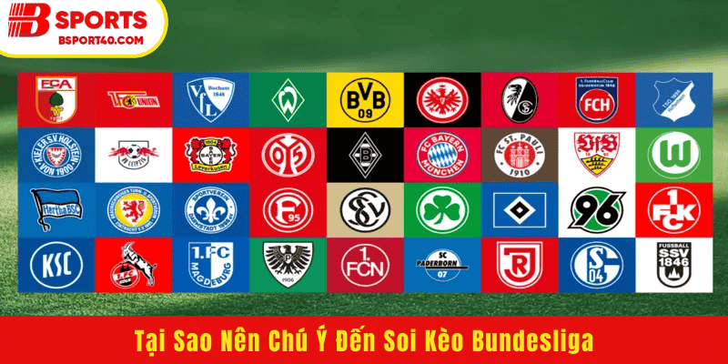 Tại Sao Nên Chú Ý Đến Soi Kèo Bundesliga